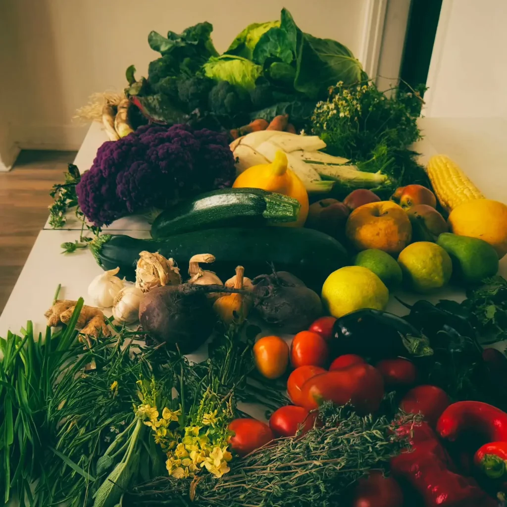 Assortiment verse seizoensgroenten en kruiden op tafel, klaar voor fermentatie, met onder andere kool, courgette, tomaten, knoflook en verse kruiden