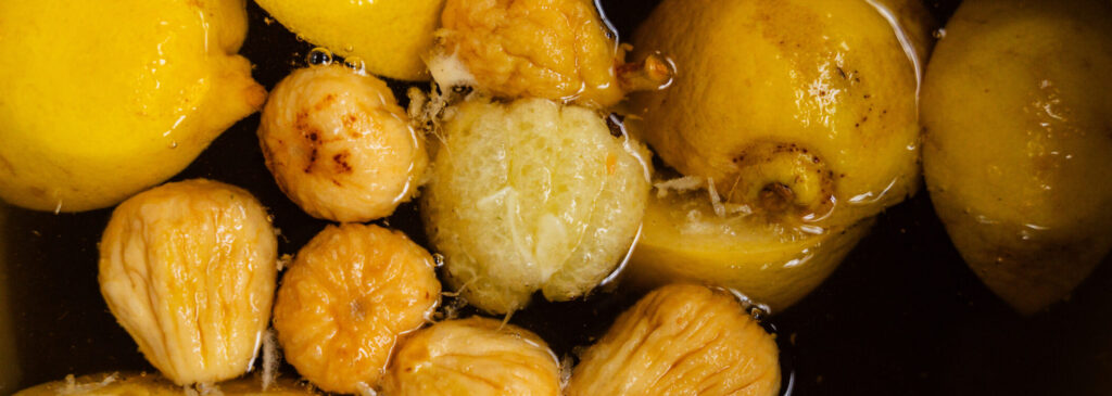 Waterkefir met citroen, gemaakt tijdens de fermentatie workshop bruisende dranken