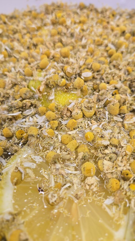 Kamillebloemetjes met citroen om waterkefir te maken