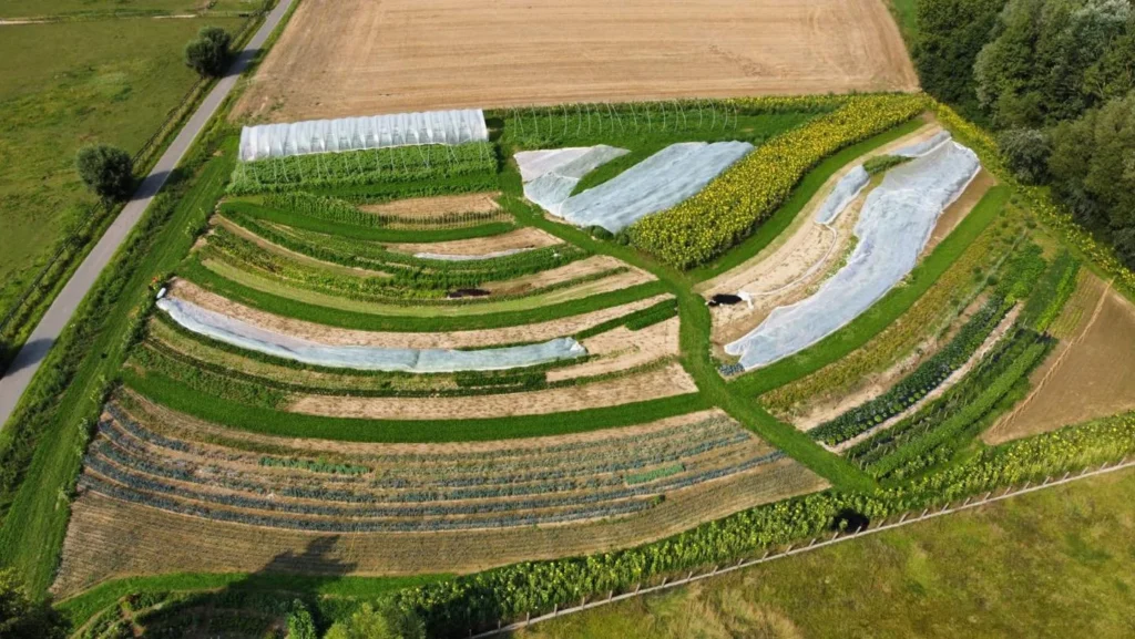Luchtfoto van het veld met alle lekkere groentjes en fruit van Pomona CSA Puur Aerde