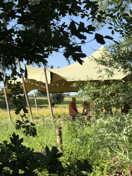 Een grote tent in de stralende zon bij Puur Aerde in Brakel